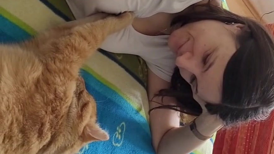 Perverse Katze